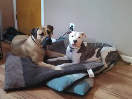 Best Friends Forever