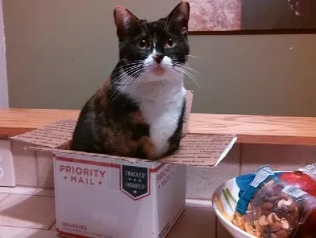 Thanks for the Box