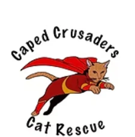 Caped Crusaders Cat Rescue