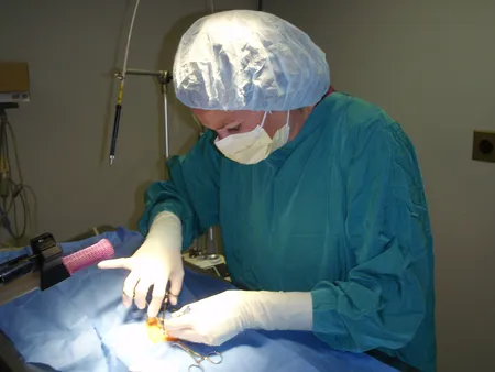 Surgery